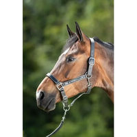 Produktbild von HFI Halfter für Ponys aus Nylon in Grau oder Schwarz