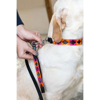 Produktbild von HFI Hundeleine Polo Führleine 120 cm