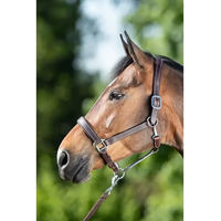 Produktbild von HFI Leder Halfter Flat für Ponys in Braun
