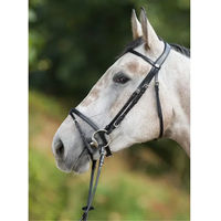 Produktbild von HFI Leder Zaumzeug Regular Full in Braun oder Schwarz