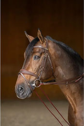 Produktbild von HFI Lederriemen mit Schnur für Ponys in Braun