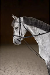 Produktbild von HFI Lederriemen mit Schnur für Warmblut Pferde in Schwarz