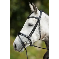 Produktbild von HFI Luxe Zaumzeug aus Leder in Schwarz für Vollblut Pferde