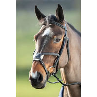 Produktbild von HFI Mexican Leder Zaumzeug für Ponys in Braun oder Schwarz
