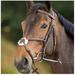 Produktbild von HFI Mexican Zaumzeug aus Leder für Pferde in Braun oder Schwarz