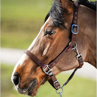 Produktbild von HFI Nylonhalfter Smart mit Neopren- und Lederunterlage braun Größe Pony