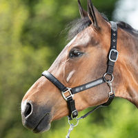 Produktbild von HFI Nylonhalfter Smart mit Neopren- und Lederunterlage Schwarz Größe Pony