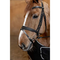 Produktbild von HFI Padded Leder Trense für Vollblut Pferde in Schwarz oder Beige