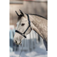 Produktbild von HFI Pferdehalfter aus Leder und Nylon Schwarz für Ponys