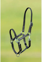 Produktbild von HFI Pferdehalfter aus weichem Leder für Fohlen in Braun oder Schwarz