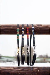 Produktbild von HFI Polo Hundeleine 120 cm in Braun Schwarz oder Bunt