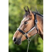Produktbild von HFI Pony Halfter Flat aus Leder