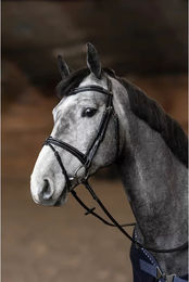 Produktbild von HFI Pony Trense Painted aus Leder in Beige und Schwarz