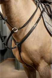 Produktbild von HFI Pro Line Arezzo Jagdhalsband für Pferde aus Leder in Beige oder Schwarz