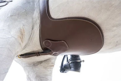 Produktbild von HFI Reitsattelgurt aus Leder mit Magneten