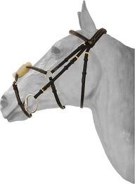 Produktbild von HFI Reittrense Mexikanisches anatomisch gekreuztes Reithalfter aus Leder für Ponys in Braun oder Schwarz