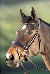 Produktbild von HFI Shiny Leder Zaumzeug für Pony in Braun oder Schwarz