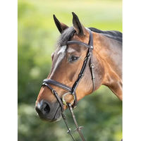 Produktbild von HFI Soft Leder Zaumzeug für Warmblut in Braun oder Schwarz