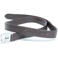 Produktbild von HFI Steigbügelriemen aus Leder in Braun