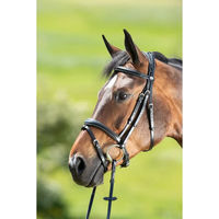 Produktbild von HFI Technical Leder Zaumzeug für Ponys in Braun oder Schwarz