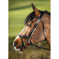 Produktbild von HFI Techno Leder Trense Full für Pferde in Braun oder Schwarz
