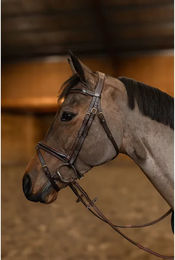 Produktbild von HFI Trense Painted aus Leder für Ponys in Beige und Braun