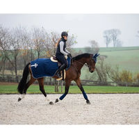 Produktbild von HFI Velvet Nierendecke für Pferde aus Fleece in Blau 135 cm