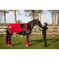 Produktbild von HFI Velvet Nierendecke für Pferde aus Fleece in Rot 145 cm