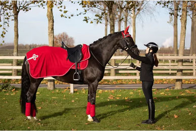 Produktbild von HFI Velvet Nierendecke für Pferde aus Fleece in Rot 155 cm