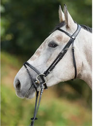 Produktbild von HFI Zaumzeug Regular aus Leder für Ponys in Braun oder Schwarz