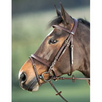 Produktbild von HFI Zaumzeug Regular aus Leder für Ponys in Braun oder Schwarz