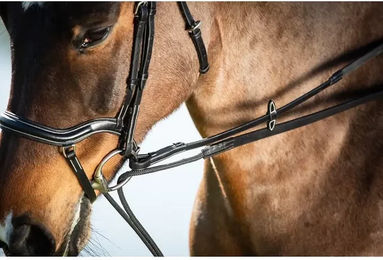 Produktbild von HFI Zügel aus Leder in Schwarz für Warmblut Pferde