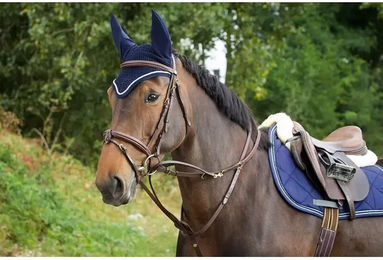 Produktbild von HFI Zügel für Pony aus Gummi in Braun oder Schwarz