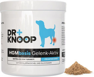HGM Grünlippmuschelpulver mit Glucosamin für Junior Gelenke und Knochen 1000g – Bild 1 von 3