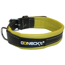 HH Leder Halsband Coneck´t Schwarz Grün – Bild 1 von 1