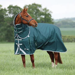 Produktbild von Highlander Outdoor-Pferdedecke mit Halsabdeckung in Grün
