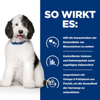 Produktbild von Hill's c/d Canine Diätfutter für Hunde zur Unterstützung der Harnwege 2 x 12 kg
