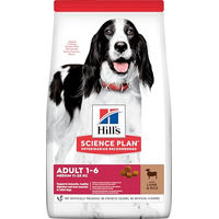 Produktbild von Hill's Hundefutter Trockenfutter Rind 2,5 kg