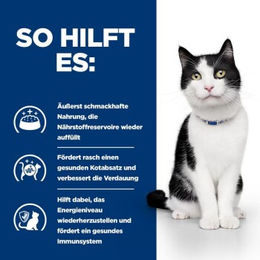 Hill's Prescription Diet Digestive Care i/d Lachs Nassfutter für erwachsene Hunde 12x85 g - 12 x 85 g – Bild 1 von 2