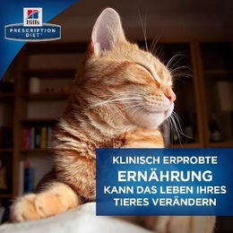 Hill's Prescription Diet k/d Kidney Care Diätfutter Trockenfutter für erwachsene Katzen zur Unterstützung der Nierenfunktion 3 kg - 3 kg – Bild 1 von 12
