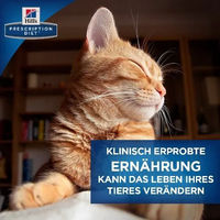 Produktbild von Hill's Prescription Diet k/d Kidney Care Diätfutter Trockenfutter für erwachsene Katzen zur Unterstützung der Nierenfunktion 3 kg - 3 kg