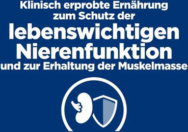 Hill's Prescription Diet k/d Kidney Care Lachs Trockenfutter für erwachsene Hunde und Katzen zur Unterstützung der Nierenfunktion 1,5 kg – Bild 1 von 5