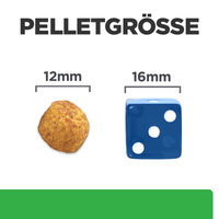 Produktbild von Hill's Prescription Diet r/d Weight Reduction Nassfutter für Hunde zur Gewichtsreduktion 12 x 350 g