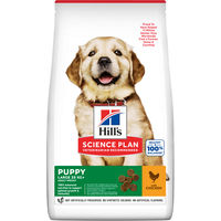 Produktbild von Hill's Science Plan Puppy Large Breed Trockenfutter mit Huhn 14,5 kg - 14,5 kg