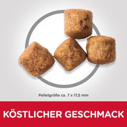 Produktbild von Hill's Science Plan Trockenfutter für große Hunde Adult mit Huhn und Lamm 28 kg - 2 x 14 kg