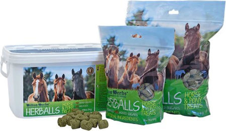 Hilton Herbs Herballs Natürliche Trainingssnacks für Pferde mit Kräutern und Minze 2 kg – Bild 1 von 8