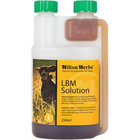 Produktbild von Hilton Herbs LBM Solution für Hunde zur Unterstützung von Magen-Darm und Harnwegen 250 ml