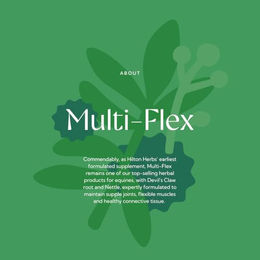 Hilton Herbs MultiFlex Gold Ergänzungsfutter zur Muskel- und Gelenkunterstützung für Pferde 1 Liter – Bild 1 von 6