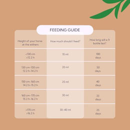 Hilton Herbs Releaf Gold Pferd Gelenkunterstützung Liquid 1 Liter – Bild 1 von 4