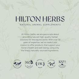 Hilton Herbs Tranquility Beruhigung für Hunde 60 g – Bild 1 von 3